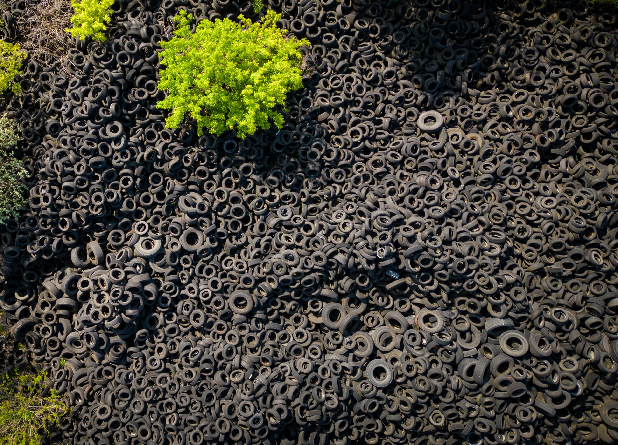 Aerial top view of the stark contrast between a massive landfill of used car tires and the surrounding green trees. The scale of the tire dump is striking, highlighting the negative impact of human waste on the environment.